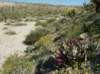 imgp0245_small.jpg