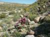 imgp0247_small.jpg