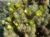 imgp0250_small.jpg
