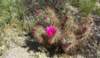 imgp0251_small.jpg