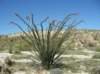 imgp0252_small.jpg