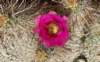 imgp0254_small.jpg