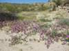 imgp0256_small.jpg