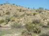 imgp0259_small.jpg