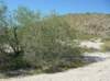 imgp0261_small.jpg