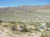 imgp0262_small.jpg
