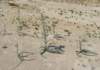 imgp0266_small.jpg