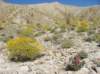 imgp0267_small.jpg