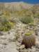 imgp0270_small.jpg