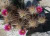 imgp0271_small.jpg
