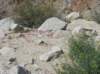 imgp0273_small.jpg