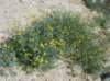 imgp0275_small.jpg