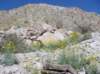 imgp0283_small.jpg