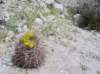 imgp0285_small.jpg