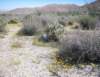 imgp0287_small.jpg