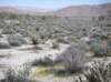 imgp0289_small.jpg