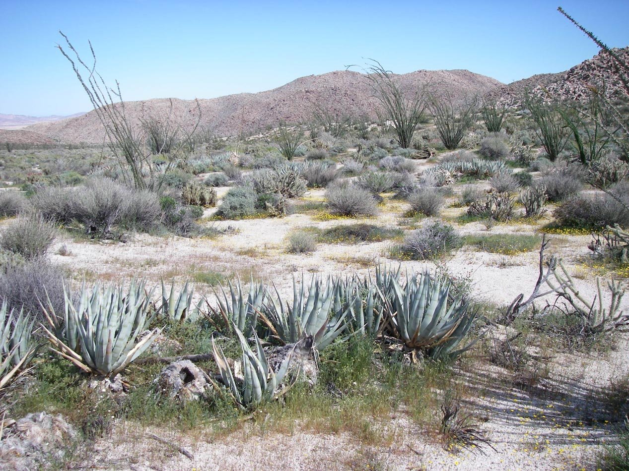 imgp0291.jpg