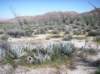 imgp0291_small.jpg