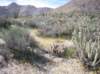imgp0292_small.jpg