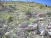imgp0293_small.jpg