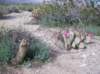 imgp0295_small.jpg