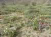imgp0301_small.jpg