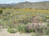 imgp0304_small.jpg