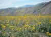 imgp0310_small.jpg