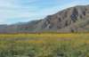 imgp0313_small.jpg