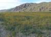 imgp0317_small.jpg