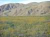imgp0319_small.jpg