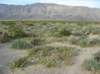 imgp0322_small.jpg