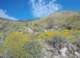 gopr2349_small.jpg