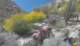 gopr2408_small.jpg