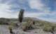 gopr2436_small.jpg