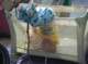imgp6178_small.jpg