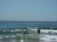imgp8318_small.jpg