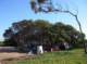 imgp8335_small.jpg