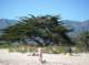 imgp8353_small.jpg
