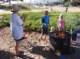 imgp8357_small.jpg