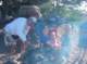 imgp8360_small.jpg