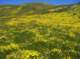 imgp5171_small.jpg