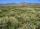 imgp5174_small.jpg