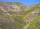 imgp5180_small.jpg