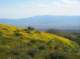 imgp5186_small.jpg