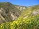 imgp5190_small.jpg