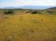 imgp5193_small.jpg