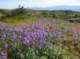 imgp5195_small.jpg
