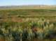 imgp5203_small.jpg