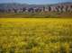 imgp5210_small.jpg